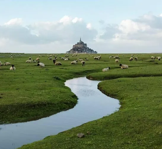 Charmante De Bord De *